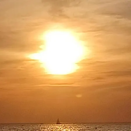 Il Suono Delle Conchiglie - Lido Conchiglie *