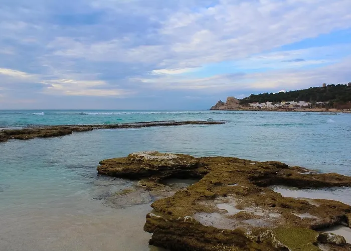 Il Suono Delle Conchiglie - Lido Conchiglie
