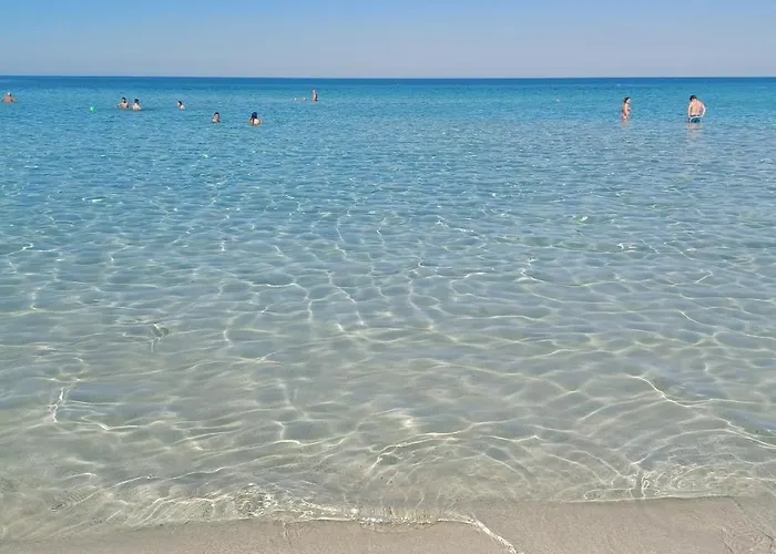 Apartman Il Suono Delle Conchiglie - Lido Conchiglie